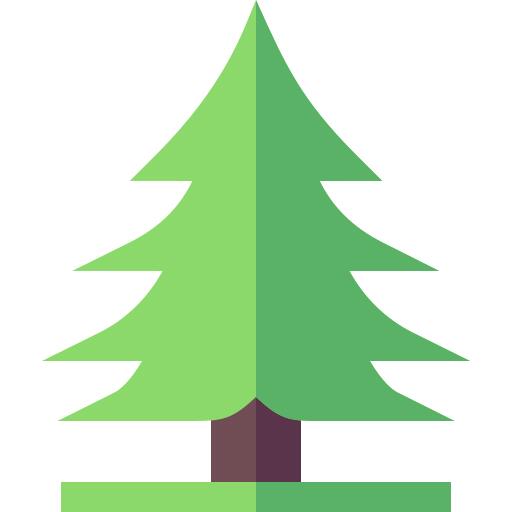 Pine