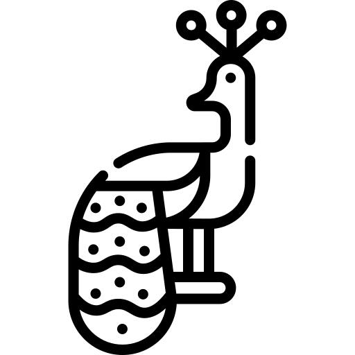 孔雀