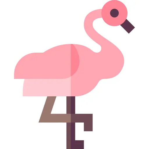 Flamingos