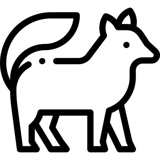 白狐