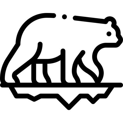 熊
