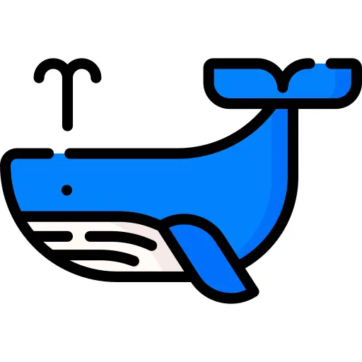 鲸