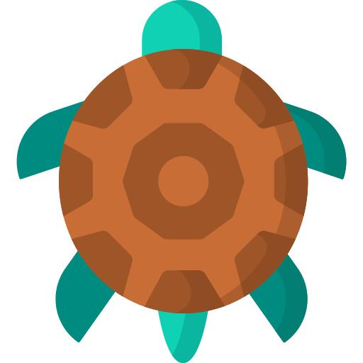 Tortoise