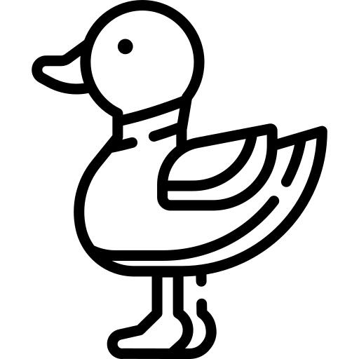 鸭