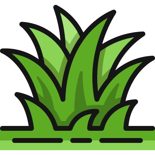 Grass