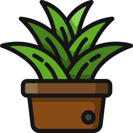 花盆
