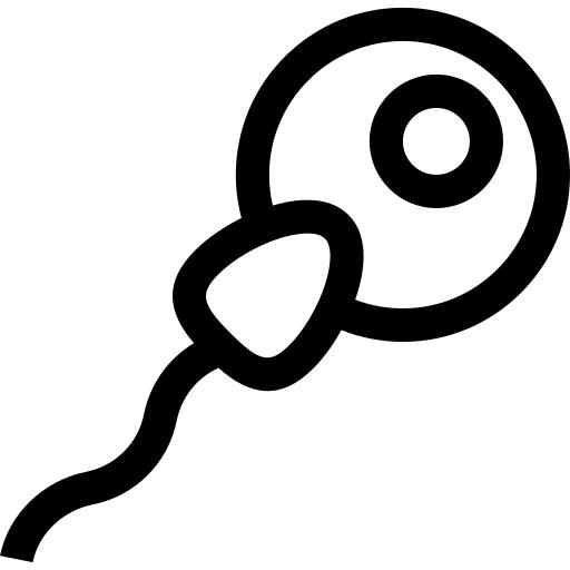 Fertilization