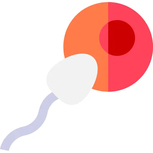 受精