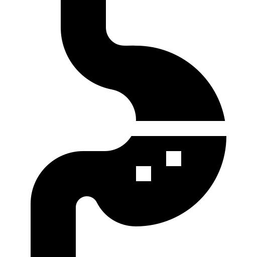 Stomach