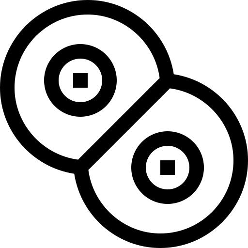 Mitosis