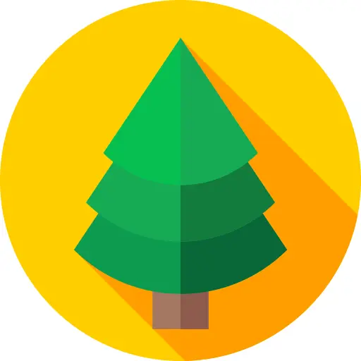 Pine