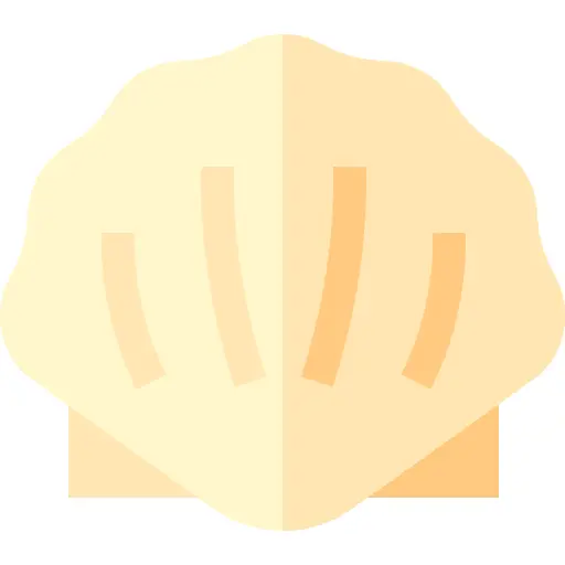 贝壳