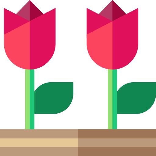 花卉