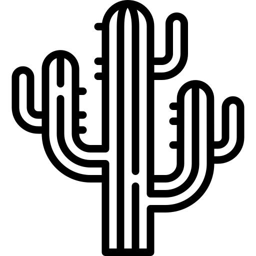 仙人掌
