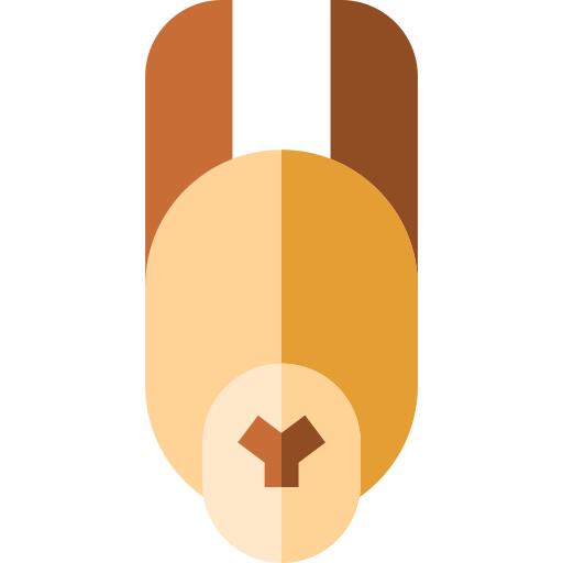 Llama