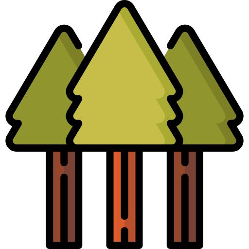 红杉