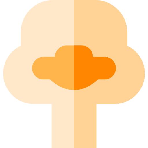 Ostrich