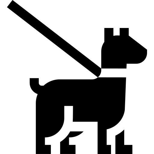 Walking the dog
