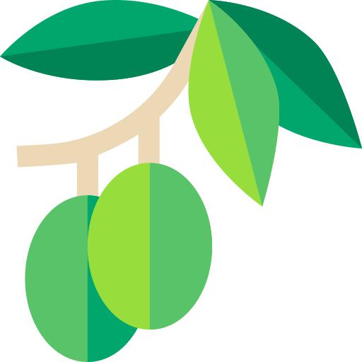 橄榄