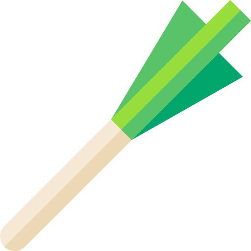 Leek