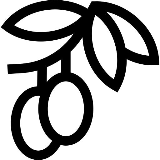 橄榄