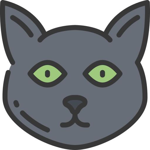 黑猫