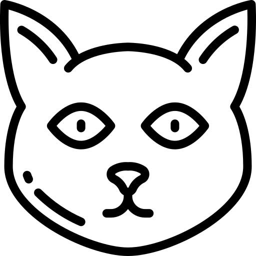 黑猫