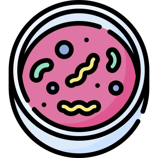 菌
