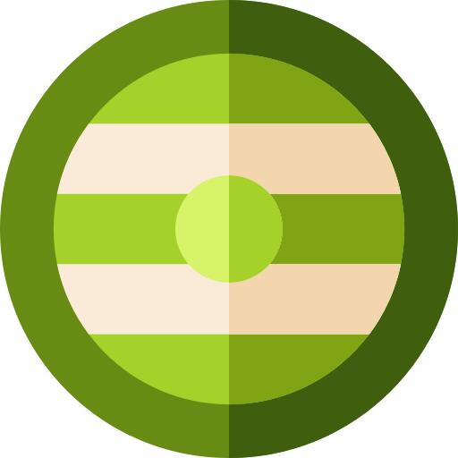 Shield