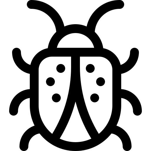 Ladybug