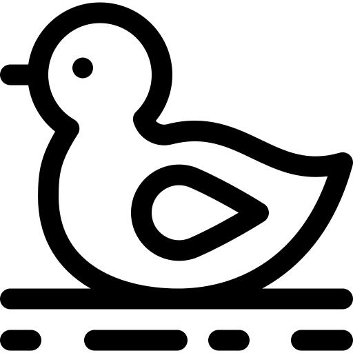 鸭
