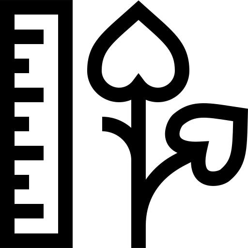 尺寸