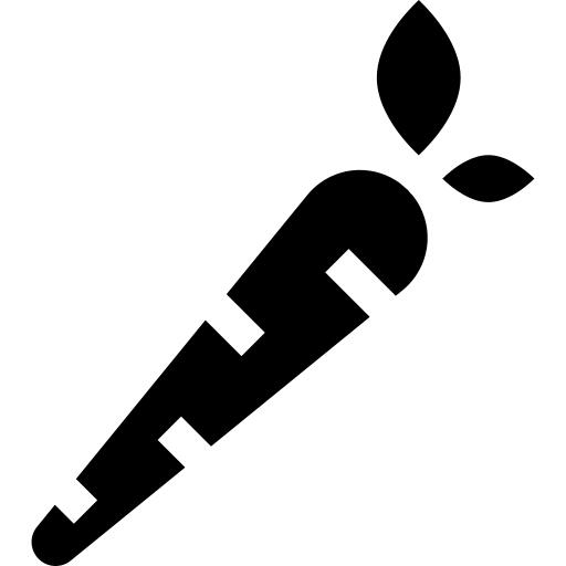 Carrot