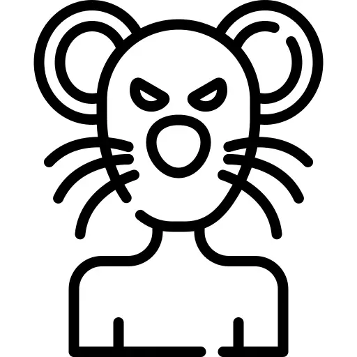 Rat