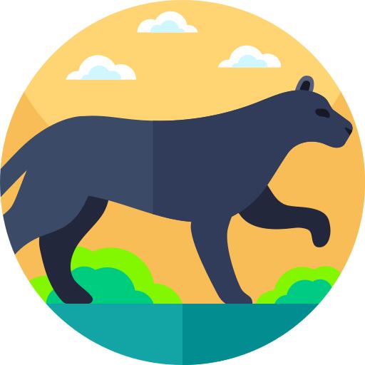 Panther