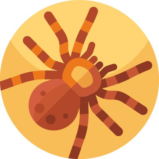 Tarantula
