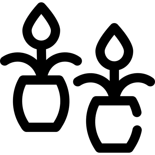 花盆