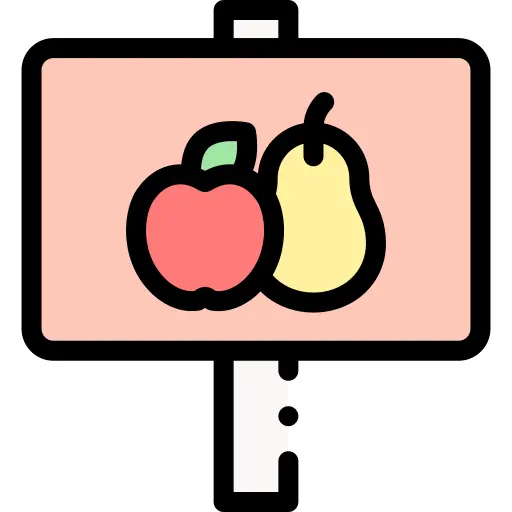 Fruit