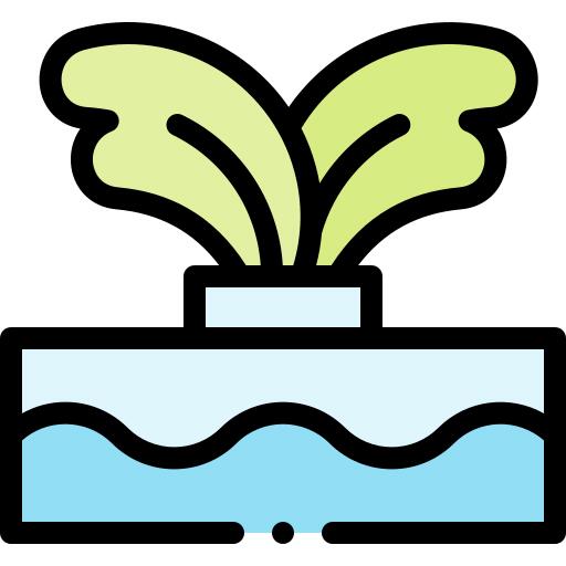 水培