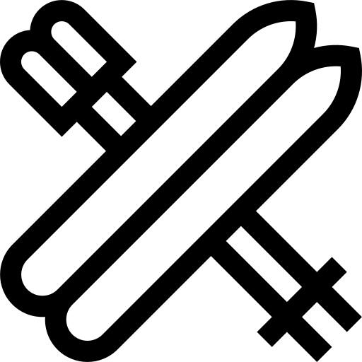 Ski