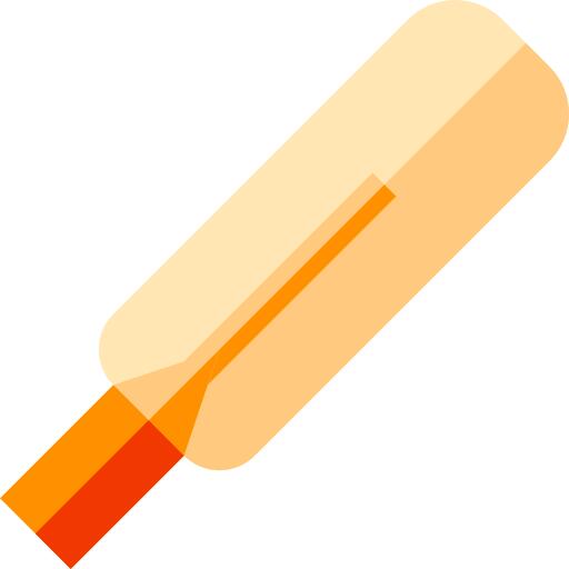 Cricket bat