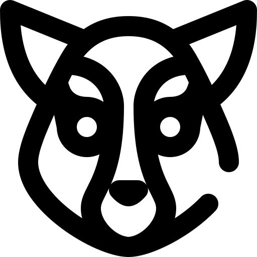 狐猴
