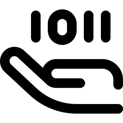二进制代码