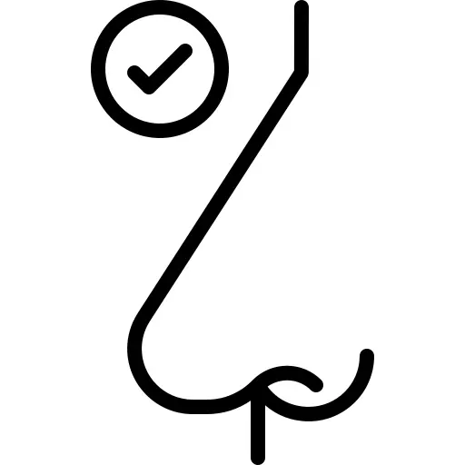 鼻子