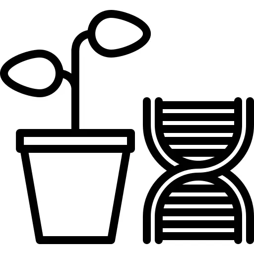 Genetic modification