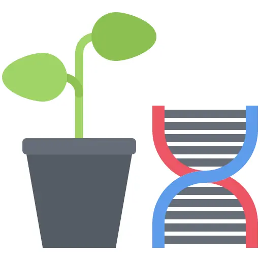 Genetic modification