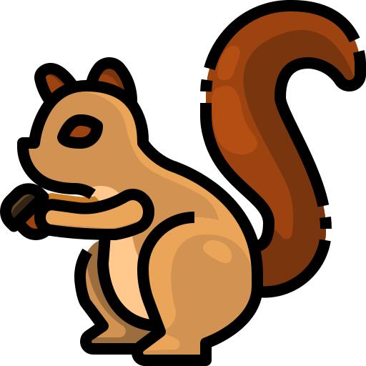 Squirrel