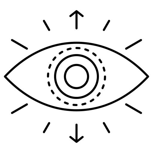 Eye