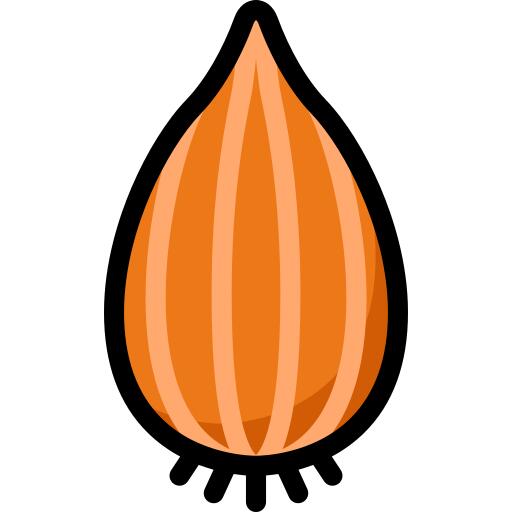 Shallot