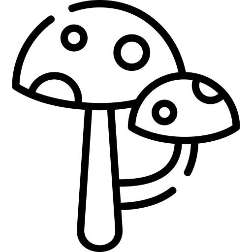 蘑菇